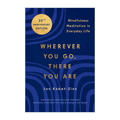 英文原版 Wherever You Go There You Are 正念 身心安顿的禅修之道 此刻是一枝花 英文版 进口英语原版书籍