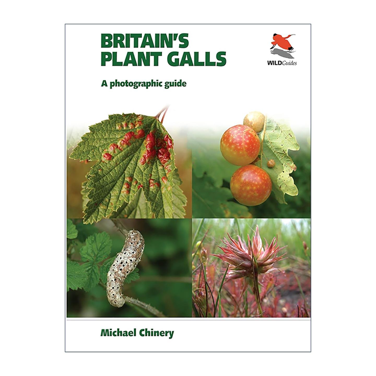 英文原版 Britain's Plant Galls 英国植物瘿 摄影插图指南 普林斯顿大学出版社 Michael Chinery 英文版 进口英语原版书籍