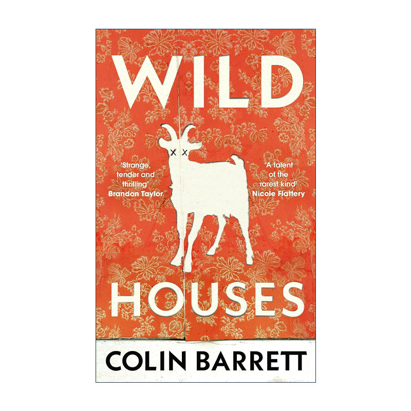 英文原版 Wild Houses 疯狂之屋 爱尔兰小说家科林·巴雷特 英文版 进口英语原版书籍
