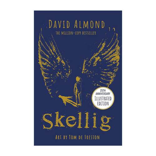 英文原版 Skellig 当天使坠落人间 25周年版 卡内基文学奖 普林兹银奖 David Almond 英文版 进口英语原版书籍