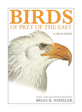 英文原版 Birds of Prey of the East 东方猛禽 观鸟指南 Brian K. Wheeler英文版 进口英语原版书籍