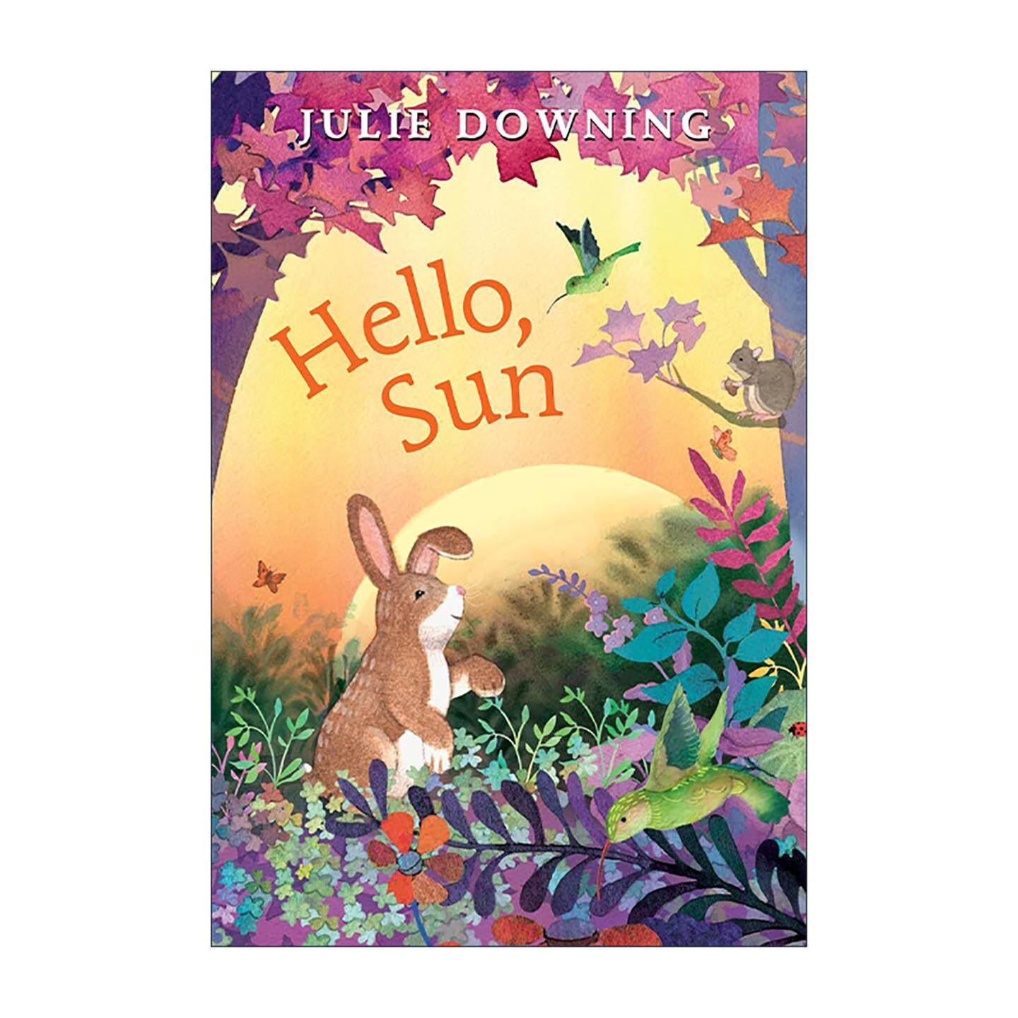 英文原版 Hello Sun 阳光之中 儿童精装绘本 家长选择奖得主朱莉·唐宁 英文版 进口英语原版书籍