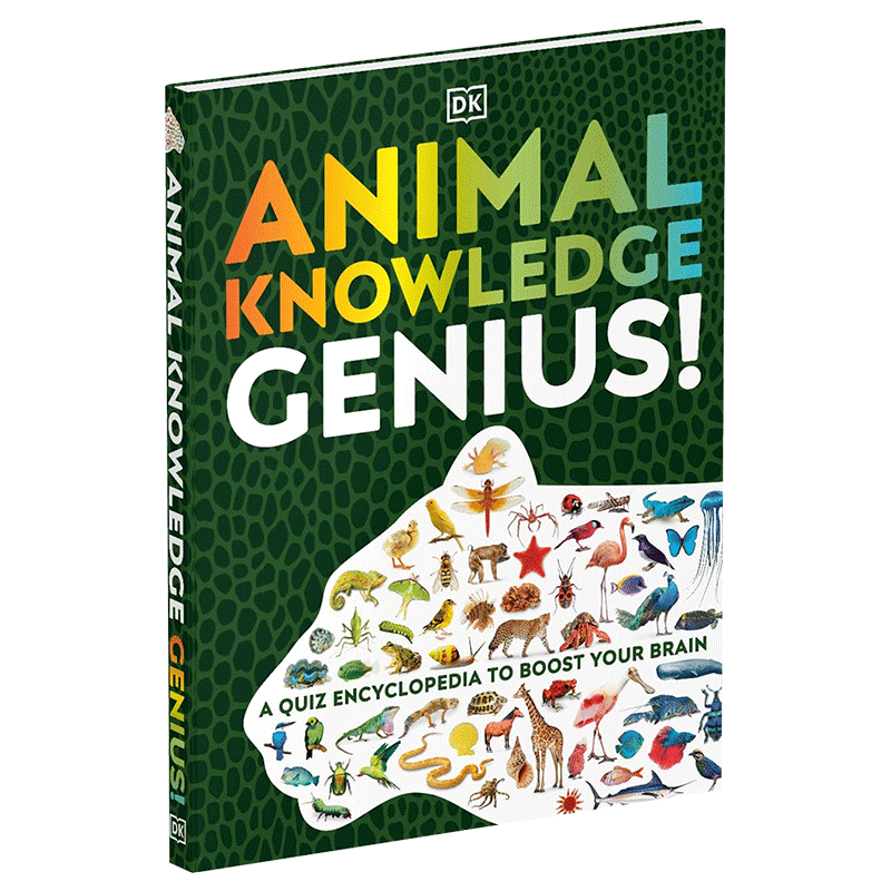 DK动物知识百科 Animal Knowledge Genius! 英文原版儿童科普读物 进口英语书籍