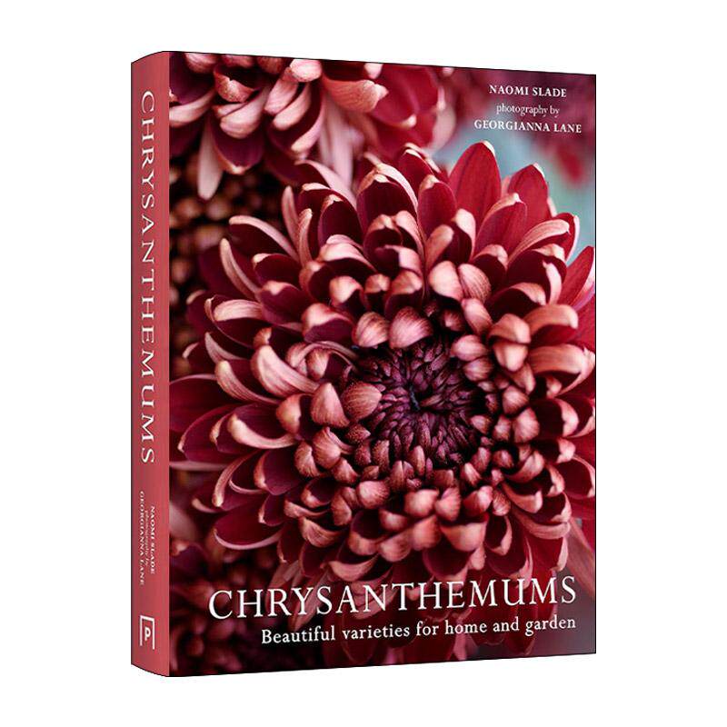 英文原版 Chrysanthemums Beautiful Varieties For Home and Garden 菊花 适合家庭和花园的美丽品种 精装花卉画册 英文版