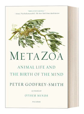 Metazoa 后生动物 动物生活与心灵的诞生 章鱼心灵作者彼得戈弗雷史密斯 英文原版生命科学读物 进口英语书籍