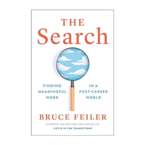 英文原版 The Search 寻找 在后职业时代找到有意义的工作 求职就业指南 爸爸军团作者Bruce Feiler 精装 英文版 进口英语原版书籍