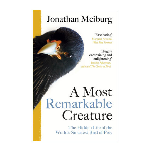 A Most Remarkable Creature 了不起的卡拉鹰 乔纳森·梅伯格
