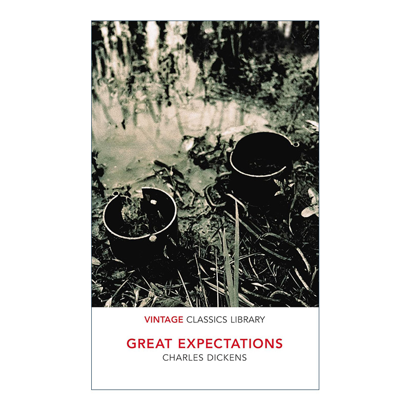 英文原版 Great Expectations 远大前程 Vintage经典图书馆系列 英文版 进口英语原版书籍