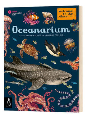 欢迎来到博物馆系列之海洋博物馆 精装 Oceanarium  Loveday Trinick 英文原版儿童科普百科 进口英语书籍