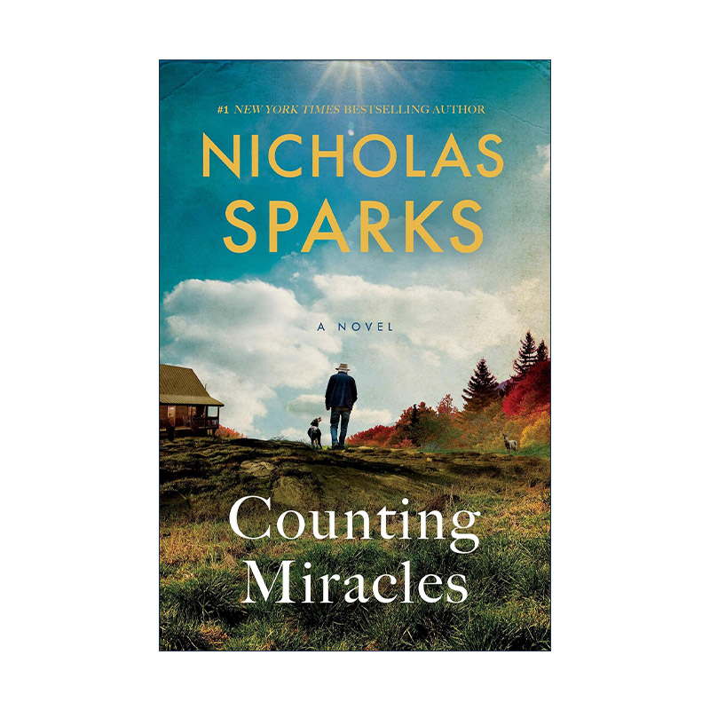 英文原版 Counting Miracles 计算奇迹 恋恋笔记本作者尼古拉斯·斯帕克斯 英文版 进口英语原版书籍