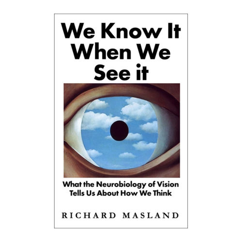 We Know It When We See It 我们如何看见又如何思考 理查德·马斯兰 精装