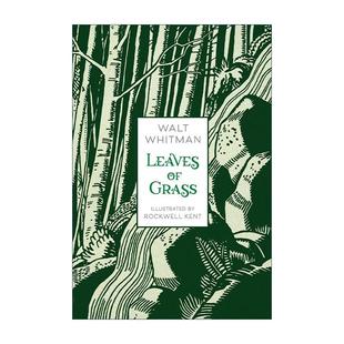 经典 Leaves Grass 进口英语原版 书籍 插图版 英文原版 精装 草叶集 英文版