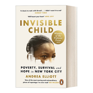 Invisible Child 看不见的孩子 安德里亚·埃利奥特 2022普利策非小说类奖