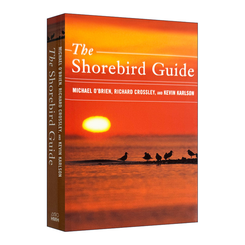 The Shorebird Guide 滨鸟指南 精装