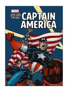 英文原版 Jeph Loeb & Tim Sale Captain America 美国队长 画廊版 卷0-5合集 豪华精装收藏版 英文版 进口英语原版书籍
