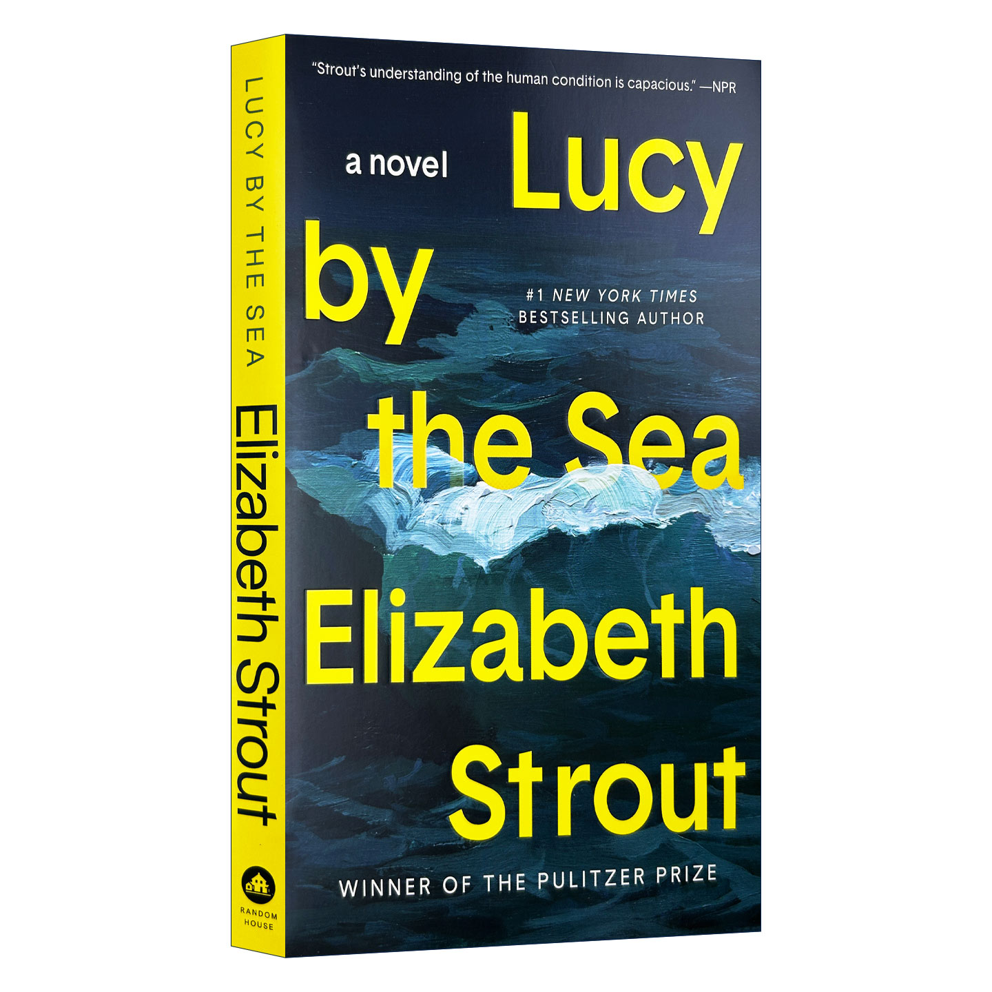 英文原版 Lucy by the Sea 海边的露西 奥丽芙·基特里奇作者 普利策奖得主伊丽莎白·斯特劳特Elizabeth Strout 英文版