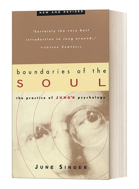 英文原版 Boundaries of the Soul  New and Revised 荣格心理学的实践 心灵的边界 新修订版 June Singer 英文版进口英语原版书籍