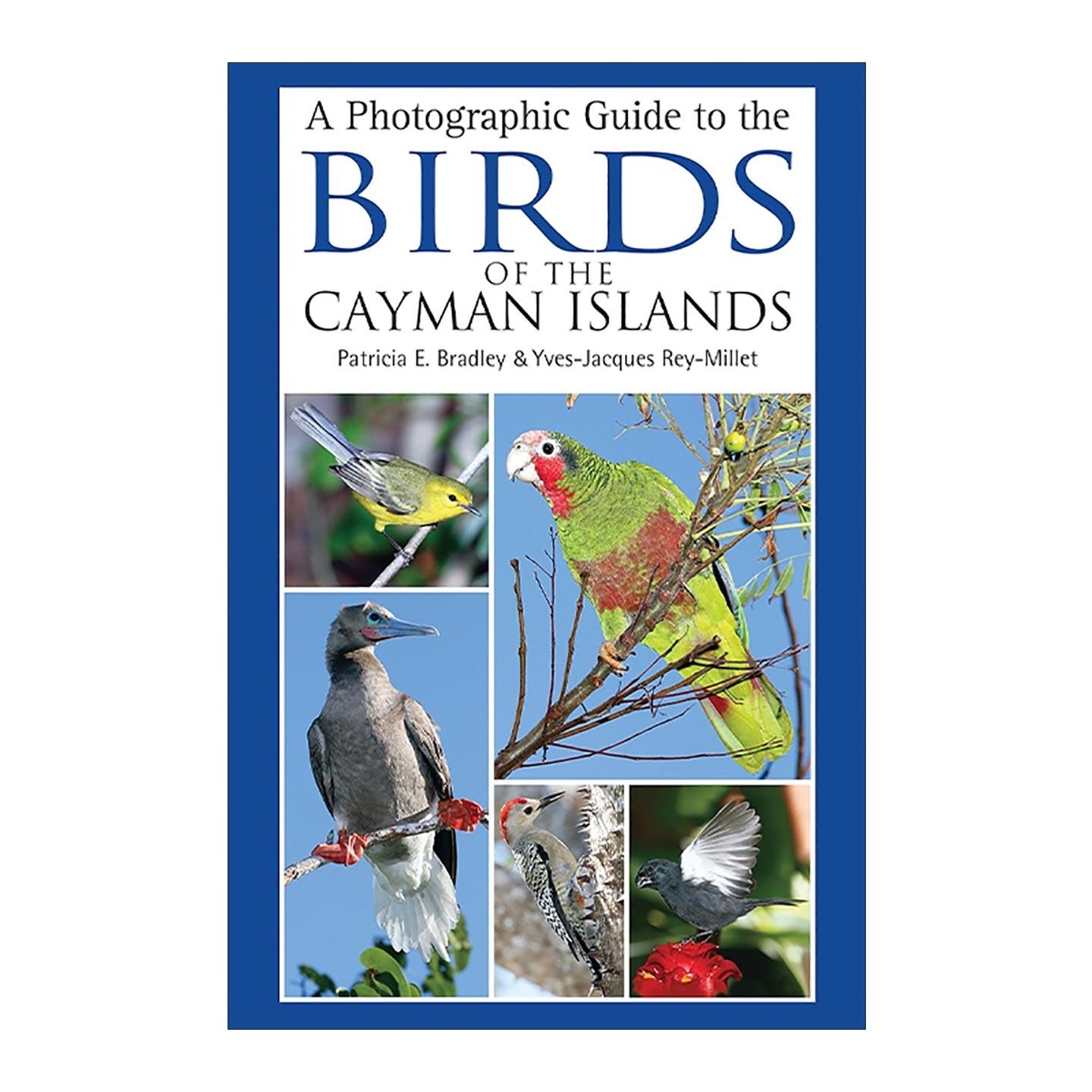 英文原版 A Photographic Guide to the Birds of the Cayman Islands 开曼群岛鸟类品种习性图鉴指南 英文版 进口英语原版书籍