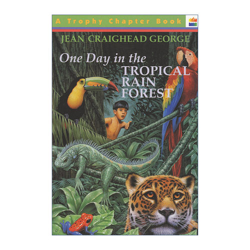 英文原版 One Day in the Tropical Rain Forest 在热带雨林的一天 生态科普章节书 纽伯瑞奖得主 珍克雷赫德乔治 英文版