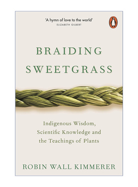 Braiding Sweetgrass 编织香草 英文原版文学 进口英语书籍