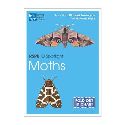 英文原版 RSPB ID Spotlight Moths 飞蛾类观赏指南图表 英文版 进口英语原版书籍