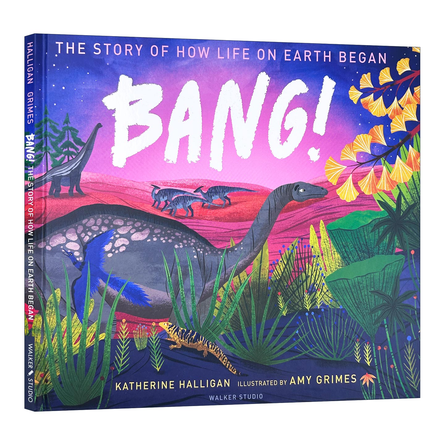 英文原版 BANG! The Story of How Life on Earth Began 地球生命的起源 精装科普 英文版 进口英语原版书籍