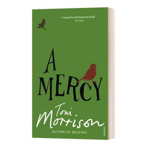 A Mercy 恩惠 1993诺贝尔文学奖得主托妮莫里森Toni Morrison