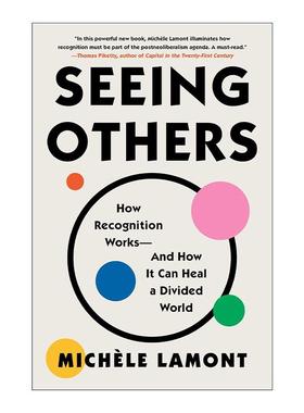 英文原版 Seeing Others 看见他人 认可如何发挥作用以及它如何治愈分裂的世界 哈佛大学教授Michele Lamont 进口英语原版书籍