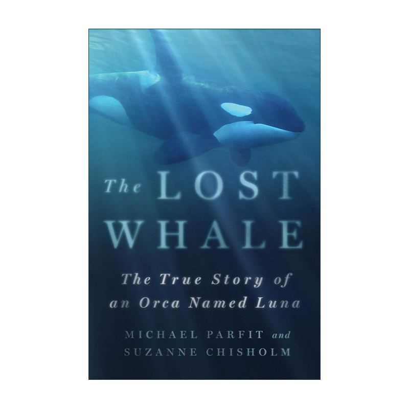 英文原版 The Lost Whale 迷路的鲸鱼 一只名叫露娜的虎鲸的真实故事 精装 英文版 进口英语原版书籍
