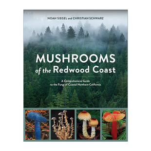 the 英文原版 进口英语原版 英文版 Coast Mushrooms Noah 蘑菇 Redwood 红杉海岸 北加州海岸真菌综合指南 Siegel 书籍