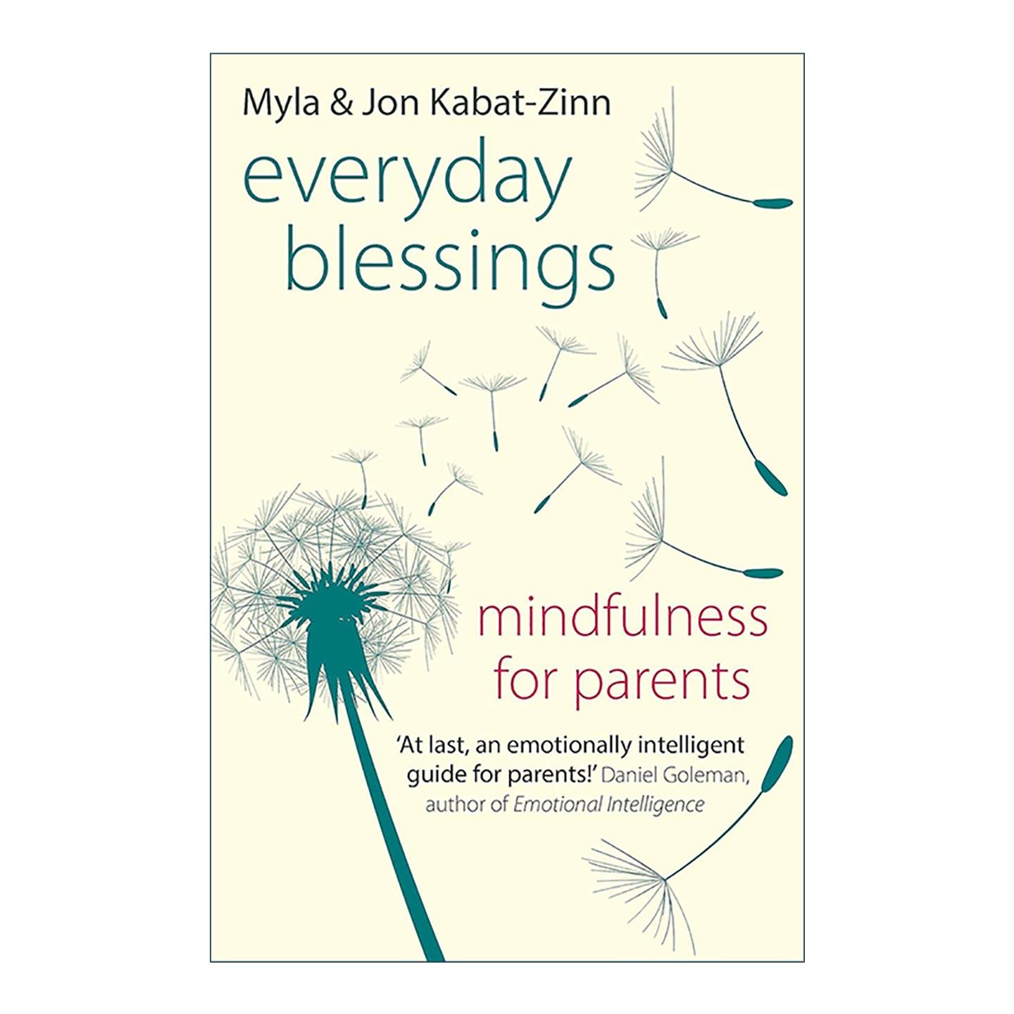英文原版 Everyday Blessings 正念父母心 养育孩子 养育自己 乔恩·卡巴金 英文版 进口英语原版书籍