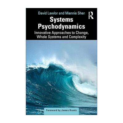 英文原版 Systems Psychodynamics 系统心理动力学 变革 整体系统和复杂性方面的创新方法 英文版 进口英语原版书籍