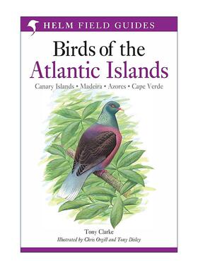 英文原版 A Field Guide to the Birds of the Atlantic Islands 大西洋岛屿鸟类野外指南 英文版 进口英语原版书籍