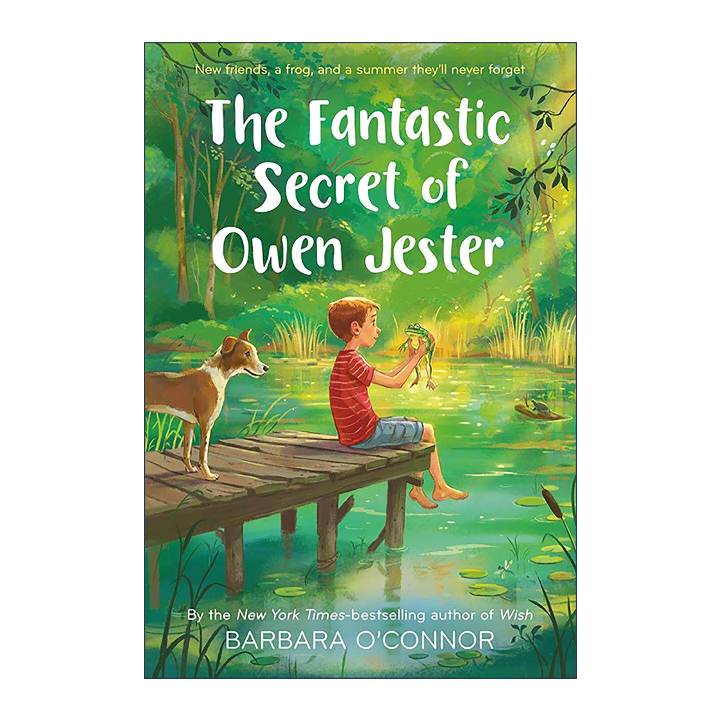 英文原版 The Fantastic Secret of Owen Jester 欧文·杰斯特的神奇秘密 巴巴拉·奥康纳 英文版 进口英语原版书籍