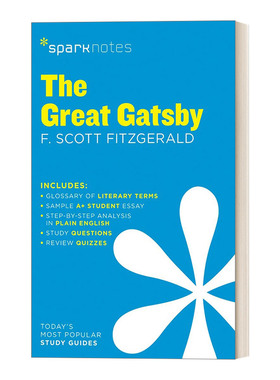 文学导读系列 伟大的盖茨比 Great Gatsby SparkNotes Literature Guide 英文原版文学读物 进口英语书籍