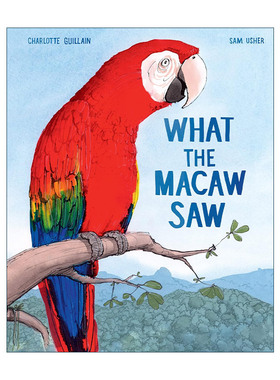 英文原版 What the Macaw Saw 鹦鹉看到了什么 金刚鹦鹉的回家路 儿童自然环境保护主题绘本精装 四季插画师Sam Usher 英文版