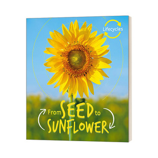 Lifecycles Seed to Sunflower 生命周期 从种子到葵花 英文原版儿童绘本