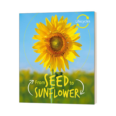 生命周期从种子到葵花英文绘本