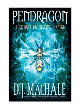 英文原版 The Pilgrims of Rayne 超时空少年8 英文版 进口英语原版书籍