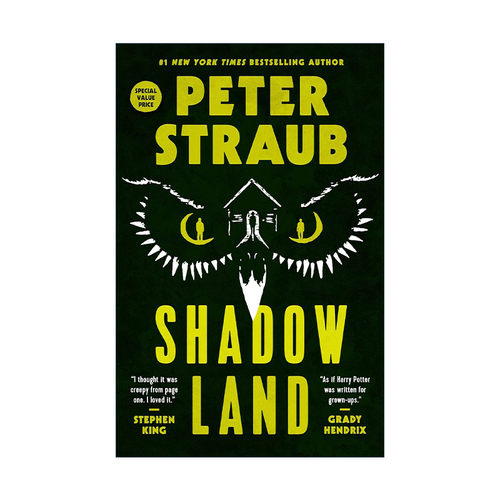 英文原版 Shadowland 虚幻境界 奇幻恐怖小说 魔符作者彼得·史超伯Peter Straub 英文版 进口英语原版书籍