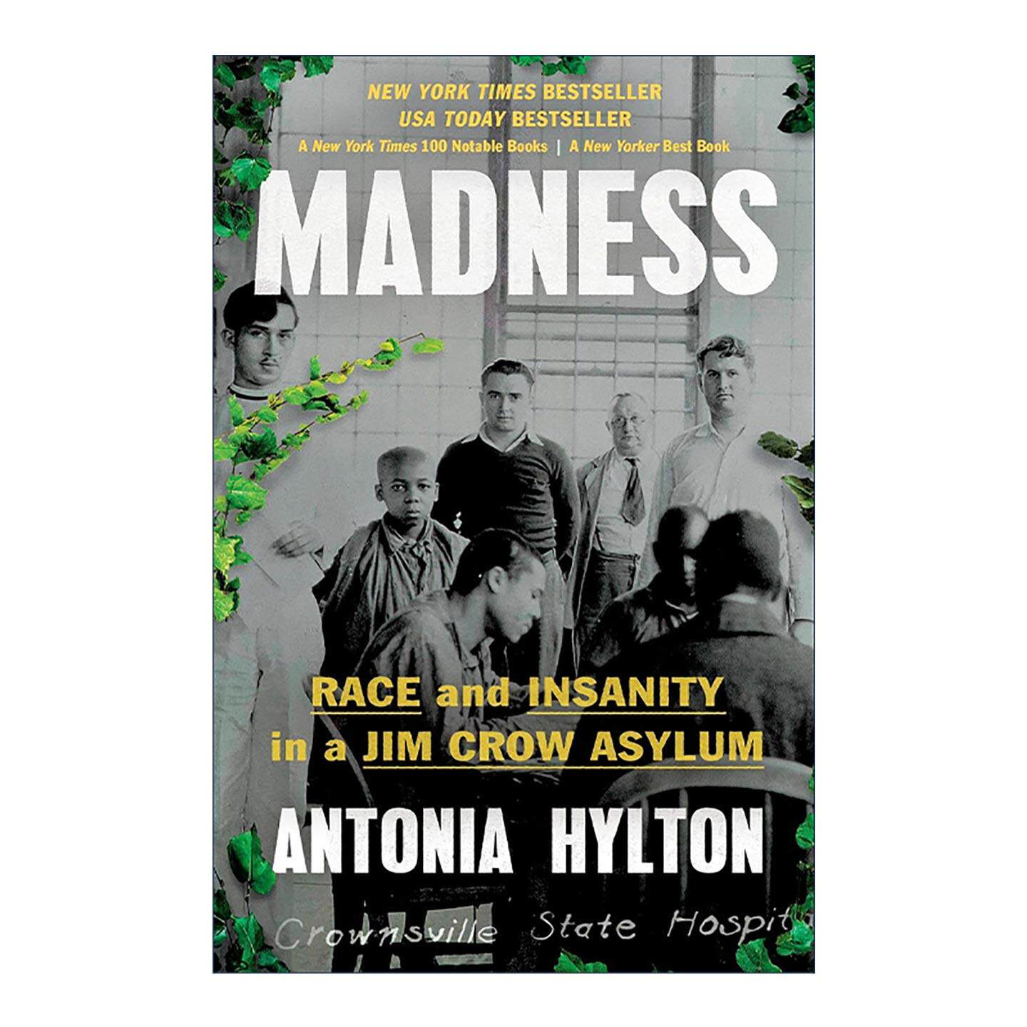 英文原版 Madness 疯狂 吉姆·克劳法精神病院中的种族与疯狂 英文版 进口英语原版书籍