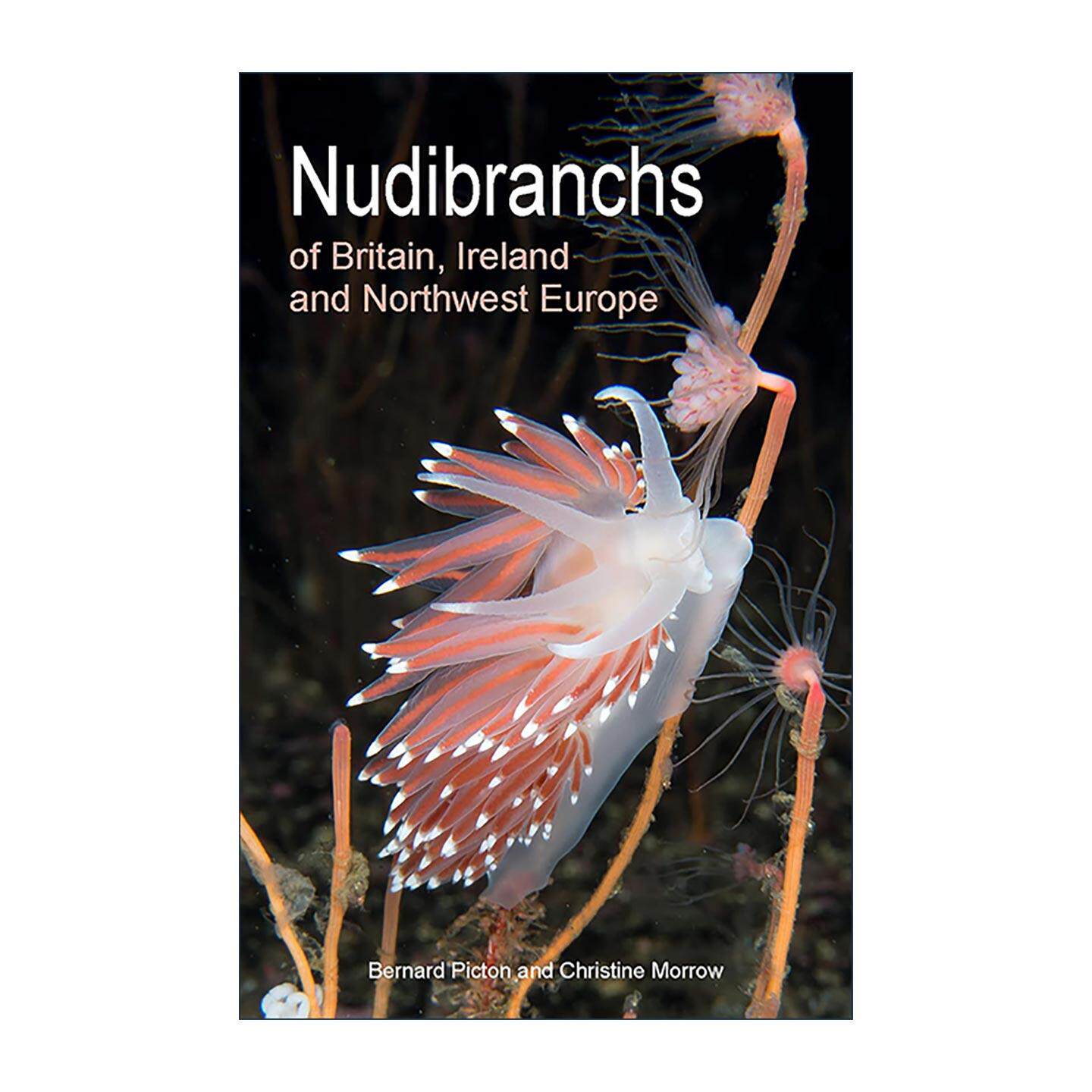 英文原版 Nudibranchs of Britain Ireland and Northwest Europe 英国 爱尔兰和欧洲西北部的裸鳃科动物 第二版 普林斯顿插图指南