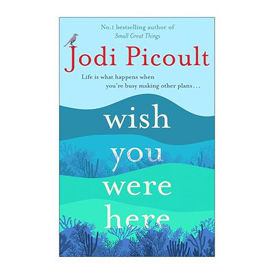 英文原版 Wish You Were Here 希望你在这里 女新小说 朱迪·皮考特 Jodi Picoult 英文版 进口英语原版书籍
