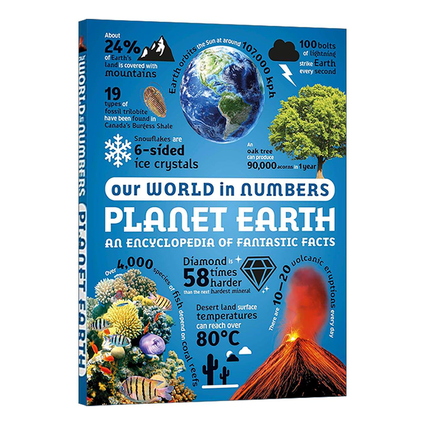 英文原版 Our World in Numbers Planet Earth 通过数字了解我们的世界地球 岩石森林等自然知识科普百科 DK全彩插图读物精装