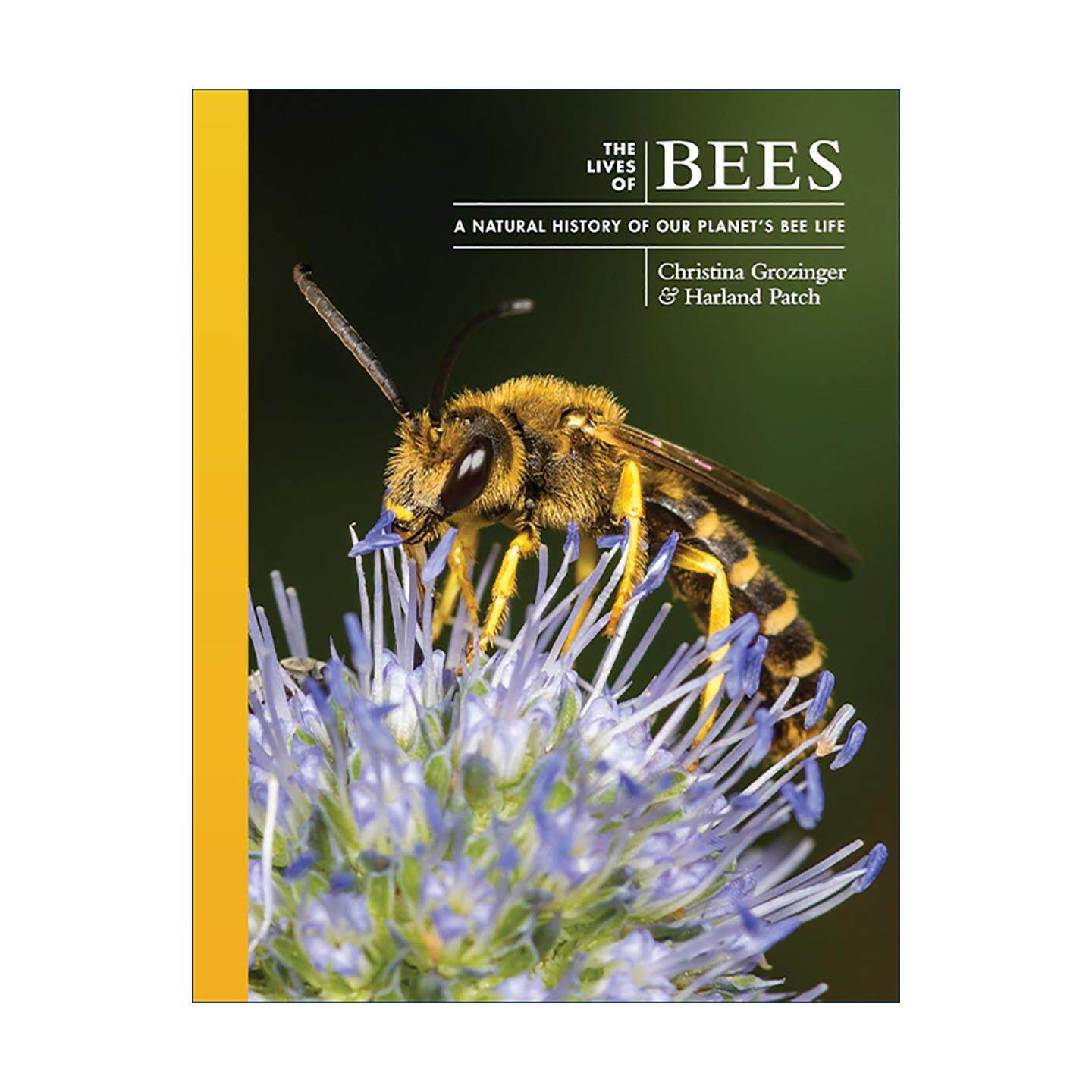 英文原版 The Lives of Bees 蜜蜂的生活 自然史 普林斯顿 昆虫学教授Christina Grozinger 精装 英文版 进口英语原版书籍