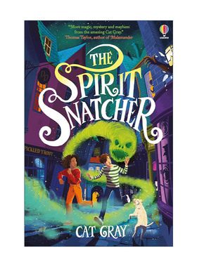 英文原版 The Spirit Snatcher 灵魂捕手 青少年奇幻神秘小说读物 英文版 进口英语原版书籍