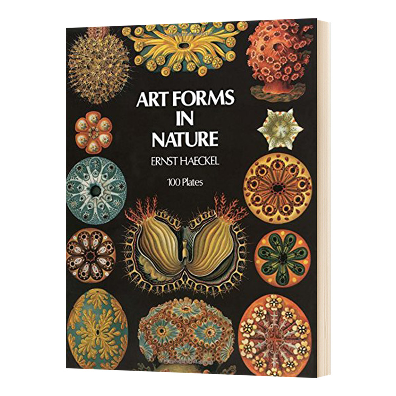 自然界的艺术形式恩斯特海克尔