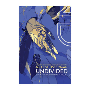 UnDivided 明日分解系列4 尼尔舒斯特曼