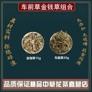 车前草金钱草组合茶包调理养生尿频涩痛刺痛尿黄尿多感髯染中药材