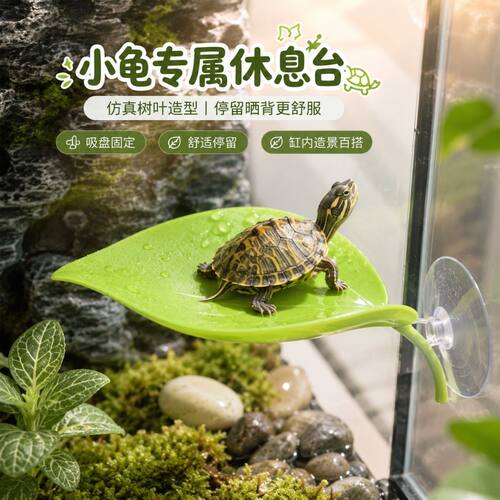 乌龟休息台仿真树叶吸盘
